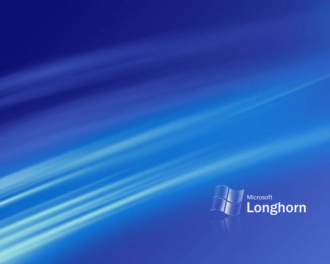 Longhorn M5 Bliss 2 - POZE WINDOWS VISTA
