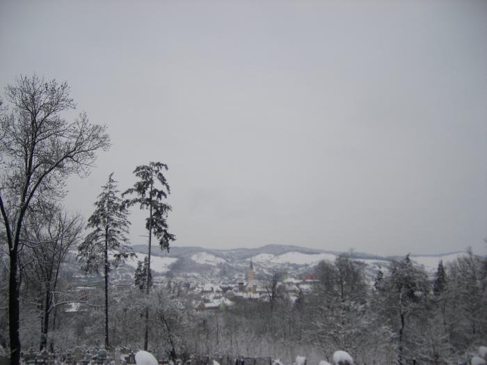 Iarna la Medias-Panorama