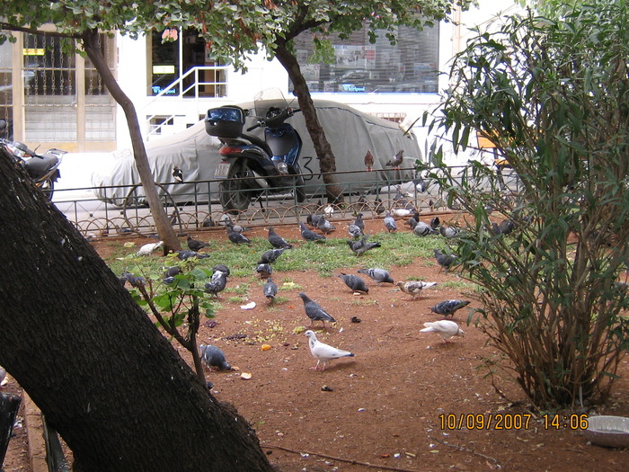 IMG_0061 - 2007 - atena