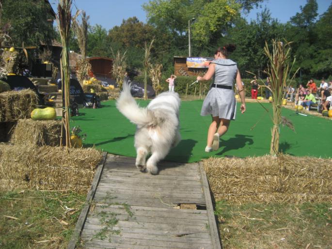 IMG_3293 - EXPO Tg Mures 2008