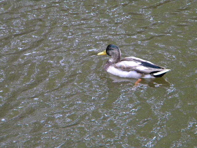 DSCN0479