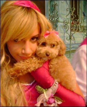 3882517131_3058d6639a - ashley tisdale poze destul de rare