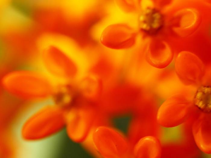 (398) - HD Wallpapers