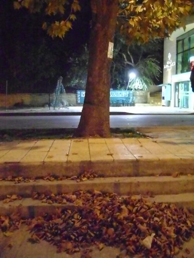 DSC06766; ..SI CHIAR DACA E OCTOMBRIE...
