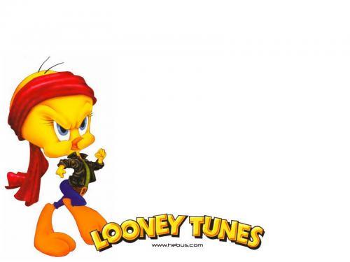 Looney Toons Poze Desene Animate Wallpaper[2] - cartoon