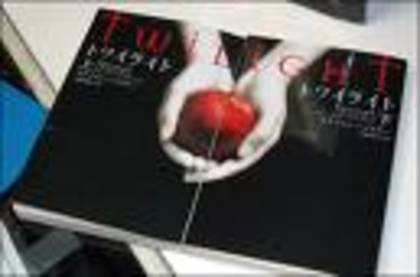 twilight - Twilight 13