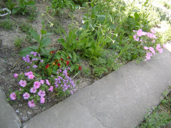 DSC08340