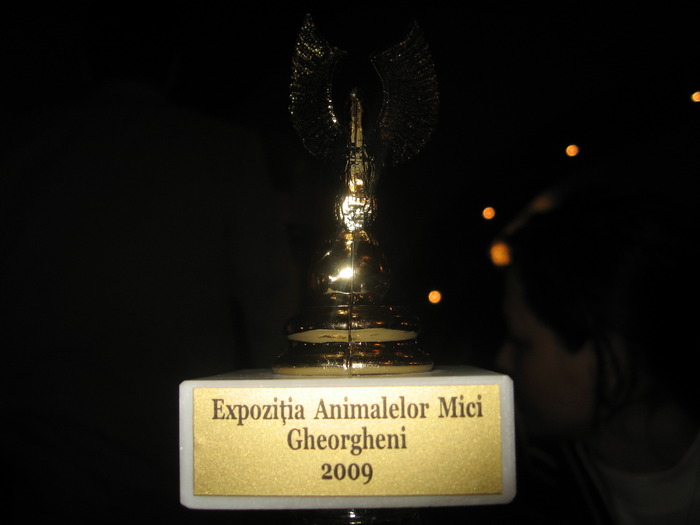 premiul - Expozitie 2009 Gheorgheni HAMBURG