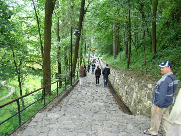 DSC02051 - Concediu 2008