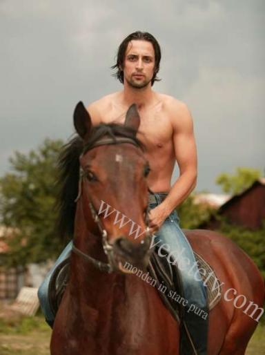 Denis_Stefan3 - Inima de tigan