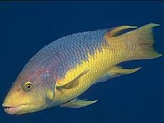 087 - poze muuuuuuuuuuuuuulte