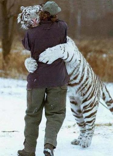 man-and-tiger