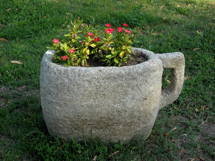 Picture 441 - flori dragute