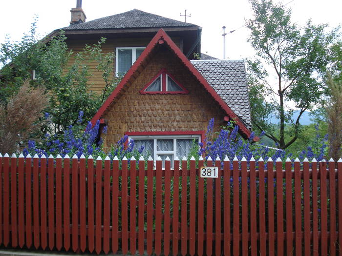 DSC03697 - 2009 CHEIA IULIE