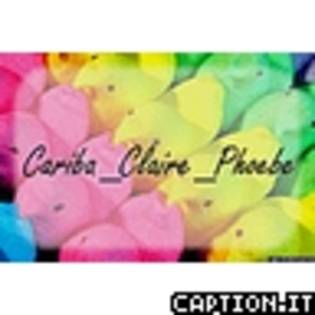 Cariba_Claire_Phoebe FRUCTIS