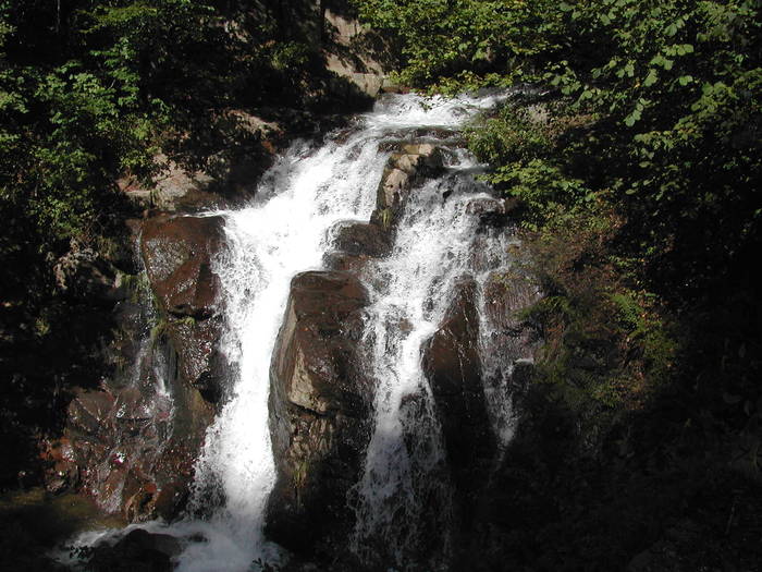 Picture 128 - Firiza