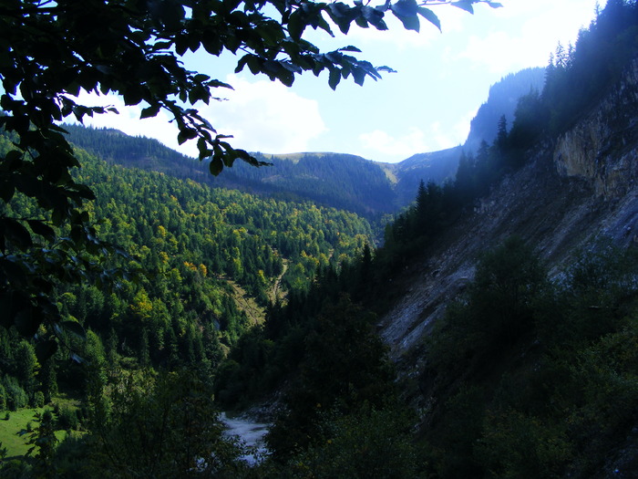 DSCF6343 - muntii Rodnei