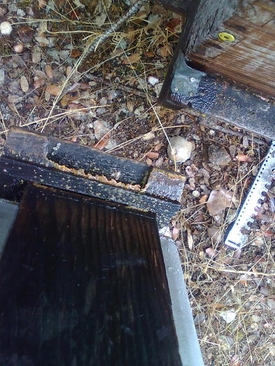 ustensila de baza, de hranire a porcilor - ApiMondia