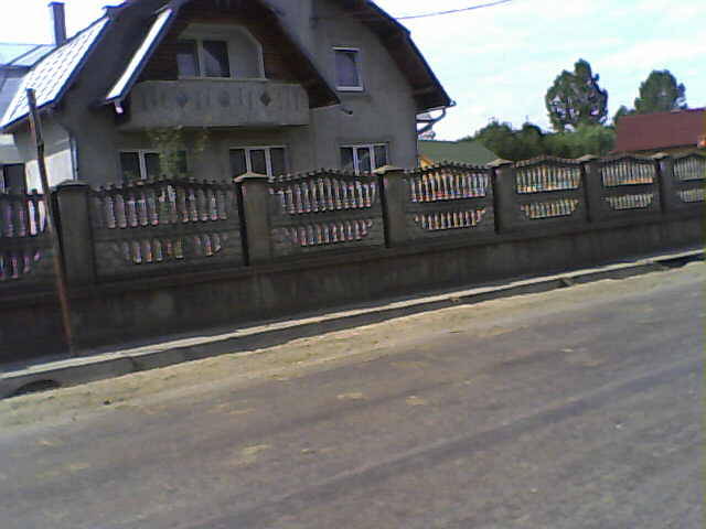 casa lu ionut borodi - satul unde locuiesc