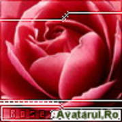 avatar_32 - trandafiri