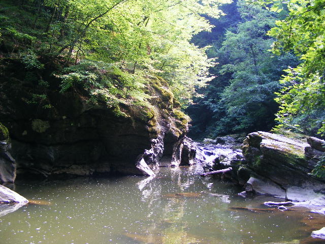 DSCF5203
