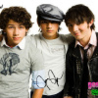 tb_100_jonas_brothers_autografe - Jonas Brothers