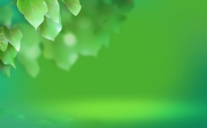 Vista Leaf_001 - POZE DESKTOP