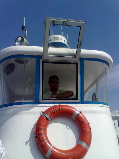 Capitanul rarait. - ApiMondia