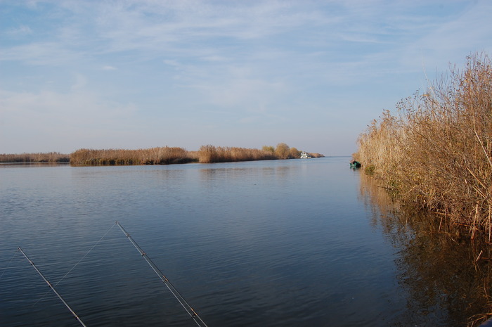 DSC_0169 - Delta sfirsit Noiembrie 2009