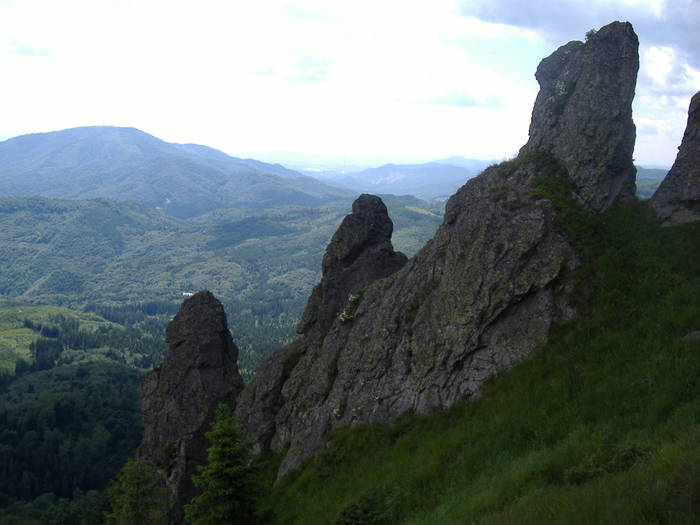 DSCF6169