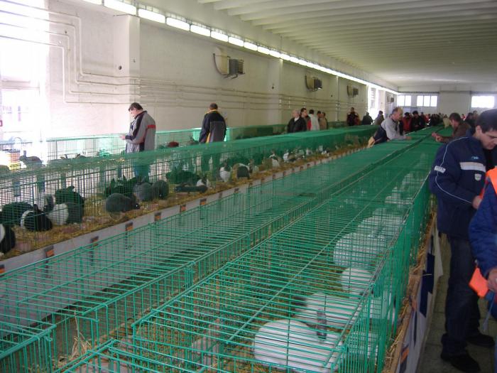 Nitra 06.12.2008 059