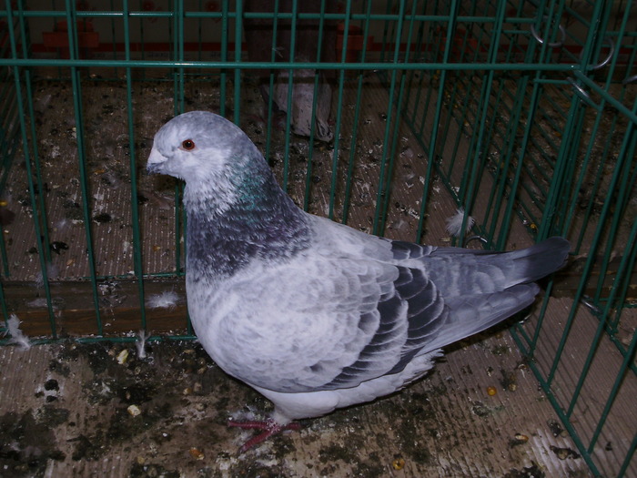 6311 gh 0 - 1507 partea 1b