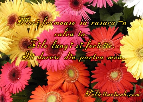 Flori_frumoase_sa_rasara_in_calea_ta - flori