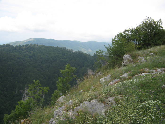 PUNCT ROSU, CHEILE OLTETULUI 18.07.2009 - POLOVRAGI CHEILE OLTETULUI