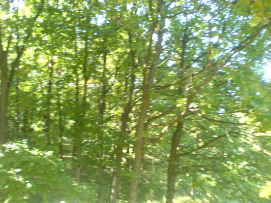 DSC00086