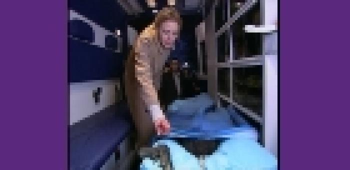 24_Havin_Episodul_62_jpg_888360598