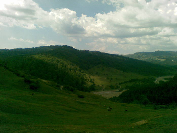 20072008(030) - Valea Ramnicului Sarat