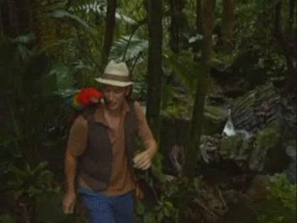 Wizards_of_Waverly_Place_The_Movie_1252726834_2_2009 - Poze cu desene emisiuni etc