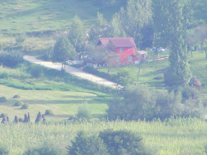DSCF0452