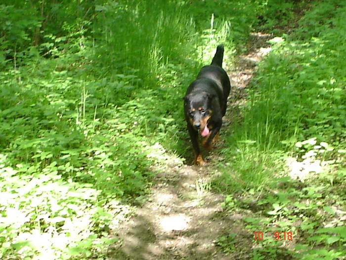 DSC04886 - BELLA poze noi