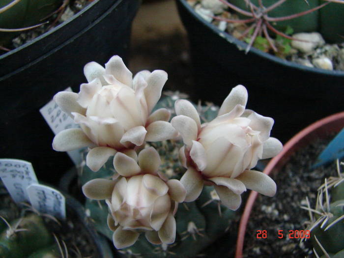 DSC05870