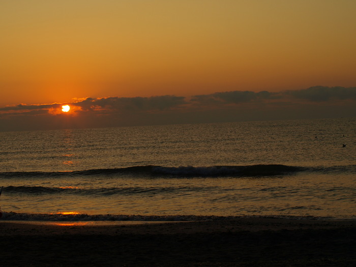 P8306639 - la mare 2009