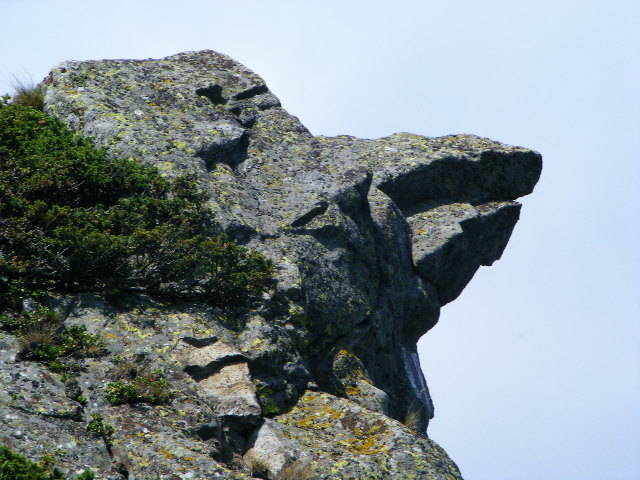 DSCF4402 - 2 august 2009 Traseu Suior Secatura Creasta Cocosului Gutaiul Doamnei  Vf Gutai