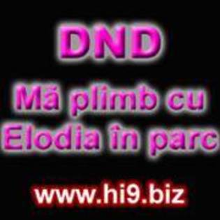 dnd ma plimb cu elodia in parc - avatare