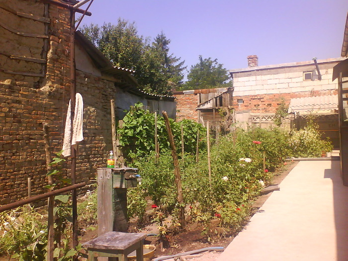 DSC05452