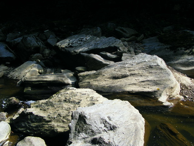 DSCF5210