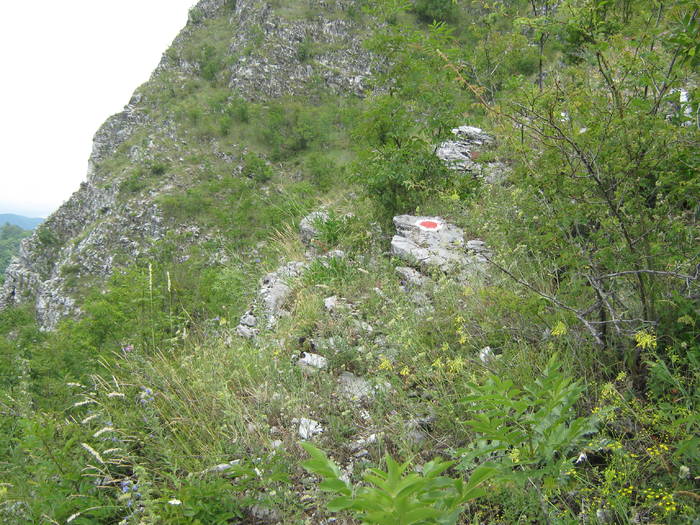 PUNCT ROSU, CHEILE OLTETULUI 18.07.2009 136; DEASUPRA PESTERII POLOVRAGI
