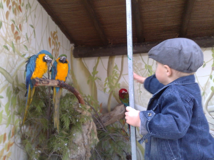 291120091114 - mini holiwood