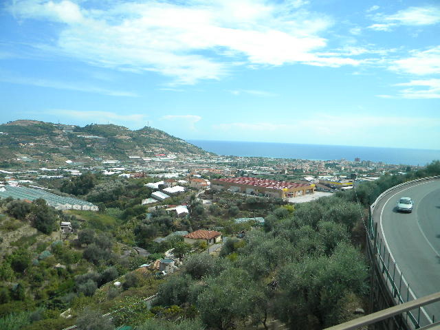 DSCN2481