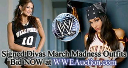 Eve si Brie - Album WWE Divas